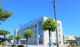 平煤隆基新能源科技有限公司